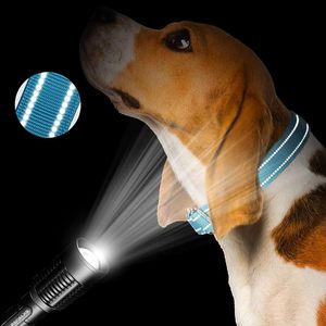 Collares para Cachorros Jewel Pet, Collar Brillante con Pedrería para Perros Pequeños, para Perritas y Gatas - Product Image 5