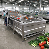 3m Fruit- en Bellenwasmachine voor Appel, Sinaasappel, Aardbei, Kers, Citroen, Mango, Tomaat, Chinese Bieslook. Wasapparaat geleverd.