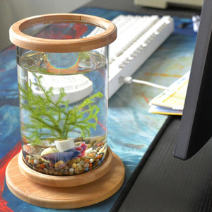 Unieke Revolving Desktop 360 Graden Fish Tank Met Glas Vierkante Jar Fish Tank Aquarium Voor <span class=keywords><strong>Home</strong></span> Office Decoratie