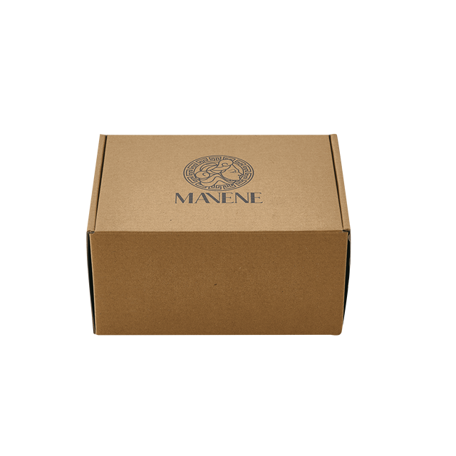 Bincai Customizable Recycled Recyclable CD/VCD/DVD Packaging Boxes UV Coating Offset Printing Corrugated Board-Guangdong