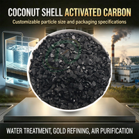 Charbon actif naturel en coque de noix de coco pour la purification de l'air, l'élimination des odeurs, l'adsorption des COV industriels, charbon actif
