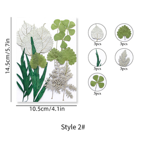 ZS025 Plantes séchées, fleurs pressées, verdure et fougères pour décorations de Noël et de remise de diplôme, pour la création de savons, bougies, cadres et colliers - Product Image 5