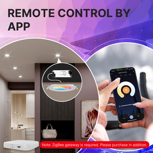 Zigbee <strong>Bulb</strong> Smart Home Product Tuya Led <strong>Light</strong> RGB <strong>Light</strong> Hot Selling Products 2025 New Products Voice Control Ceiling <strong>Light</strong> - Product Image 5