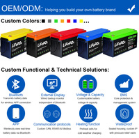 Batterie LiFePO4 12V 300AH Grade A Hors Réseau 6000+ Cycles Cycle Profond RV CAN Bus BMS Intelligent Terminal M8 CE RoHS IP67 OEM ODM