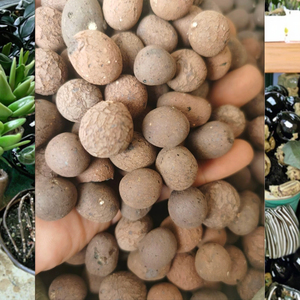 Giá thấp mở rộng đất sét viên sỏi cho thủy canh cung cấp trong nhà ngoài trời nhà máy công viên trang trí xây dựng bất động sản - Product Image 3