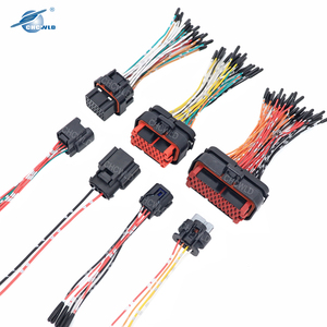 Nhà sản xuất cáp chuyên nghiệp, sản xuất theo yêu cầu tất cả các loại thiết bị, dây nối, lắp ráp cáp và dây dẫn điện ô tô - Product Image 5