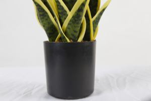 27 CM, <span class=keywords><strong>de</strong></span> plástico, venta madre falsa en la Ley <span class=keywords><strong>de</strong></span> la <span class=keywords><strong>lengua</strong></span> <span class=keywords><strong>de</strong></span> la serpiente Bonsai casa en macetas pequeñas macetas Planta Artificial - Product Image 6