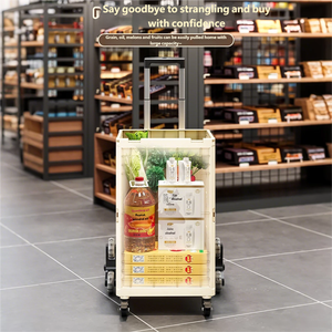 다기능 휴대용 접이식 PP 플라스틱 수납 박스 카트 바퀴 달린 캠핑 트롤리 등산용 바퀴 금속 막대 스탠딩형 - Product Image 5