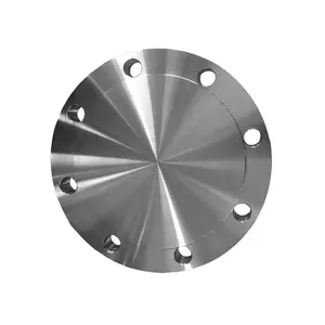 Sfenry ASME B 16.47 Series A Series B Forged Stainless Steel Raised Face Blind Flange