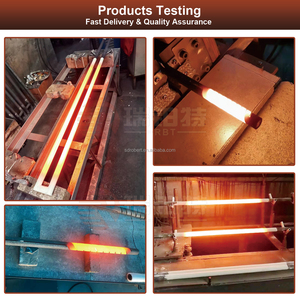 Elementos Calefactores Industriales de Carburo de Silicio (SiC) <span class=keywords><strong>Robert</strong></span> de 220V y 1000W para Hornos y Estufas - Product Image 5