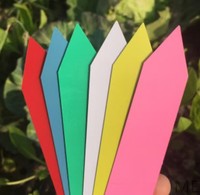 100 pièces étiquettes de plantes de jardin accessoires de plantes Pots de fleurs étiquettes de plantes en plastique marqueurs de pépinière étiquette plateau marque outil de bricolage