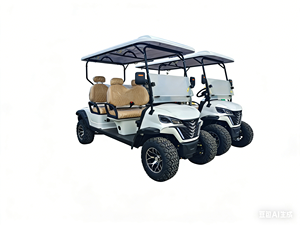 Carrito de Golf Eléctrico de Lujo Premium de 2, 4 y 6 Plazas, Diseño Nuevo y Personalizado - Product Image 6
