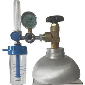 Bull Nose Male Connection Oxygen Regulator With Flow Meter Hospital Equipment Oxygen Inhalator With Humidifier Bottle