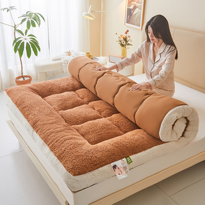 Độc thân đôi đôi Nữ Hoàng Vua kích thước đầy đủ a-class cừu len dày tấm ga trải giường ấm áp không có pilling không rụng tóc - Product Image 4