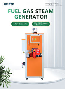 Beiste Commercial LPG Steam Boiler 100Kg-Calentador <span class=keywords><strong>de</strong></span> vapor industrial para procesamiento <span class=keywords><strong>de</strong></span> alimentos, venta al por menor <span class=keywords><strong>de</strong></span> ropa y máquina <span class=keywords><strong>de</strong></span> planchar - Product Image 6