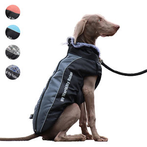 dog accessory for $1000