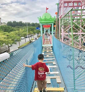 Équipement d'amusement extérieur personnalisé Hogwood comprenant toboggan et escalade volcanique pour enfants pour la <span class=keywords><strong>sortie</strong></span> de printemps - Product Image 5