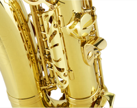 Gold Lacquer saxophone Wholesale China Professional Manufacturer Alto Saxophone