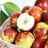 Groothandel Chinese Shandong Winter Jujube Fruit 2Kg Verse Export Tegen Lage Prijs