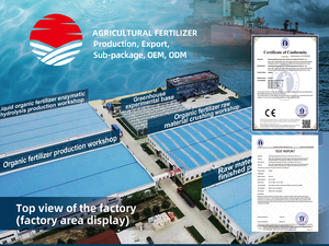 Fertilizante de Fosfito de Potasio Soluble en Agua de Acción Rápida para Aplicación por Irrigación <span class=keywords><strong>Foliar</strong></span> y por Goteo - Product Image 6