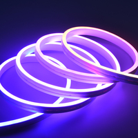 Bande lumineuse LED RGB néon flexible en PVC personnalisée, alimentée par USB, avec télécommande musicale pour la décoration de l'écran de télévision et la maison (compatible Tuya)
