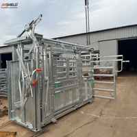 Cage de manipulation pour bétail avec porte frontale et portes latérales pour le traitement médical des animaux