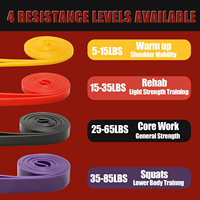 Bandes de Résistance pour Exercices d'Assistance aux Tractions et Entraînement Musculaire – Bande Longue de Résistance pour Renforcer la Force à Domicile ou en Salle de Sport