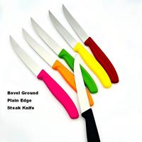 Couteau de cuisine ultra-affûté en acier inoxydable avec manche en plastique, petit couteau à éplucher, à fruits, à steak, pour steak, fruits, pain