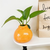Kit Penanam Hidroponik Buah Pothos Simulasi Kreatif Eropa dengan Pot Ornamen Keberuntungan untuk Kantor Kecil dan Taman Rumah