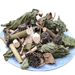 Piante Intere di Mallo Indiano Essiccate, Steli e Foglie Naturali di Abutilon Indicum - Product Image 1