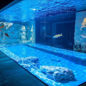 Aquarium rectangulaire en acrylique ornemental extra large, fabriqué sur mesure, aquarium de Shanghai, océanarium - Product Image 2