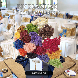 Ghirlanda di Fiori Secchi di Aster Brasiliano, Margherite di Montagna Piccole, per Decorazioni Natalizie Fai-da-te, Ghirlanda Popolare - Product Image 4