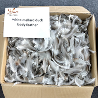 Plumes de canard blanc naturelles de tailles variées en gros pour queues de streamer, ailes de mouche et accents sur les mouches pour truites Steelhead et achiganes