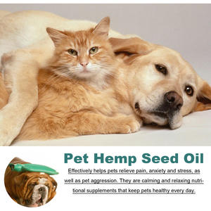 Logo personnalisé chiens et chats soulageant améliorer la forme physique soulager le stress anorexie huile essentielle huile de chanvre pour animaux de compagnie - Product Image 6