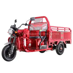 1000 Watt Electric Cargo Truck Trike In Red Color