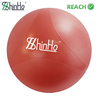 Ballon de yoga et de Pilates Shinho OEM breveté anti-éclatement, style Harmony, pour l'équilibre du tronc, la remise en forme et la thérapie, conforme aux normes EU PWWR REACH