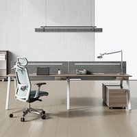 Ensemble de bureaux ergonomiques multi-personnes en bois, modernes, durables et écologiques, avec tiroir à dossiers