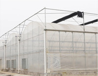 Serre agricole multi-travées en film plastique, solution clé en main pour la culture hydroponique de tomates, à vendre
