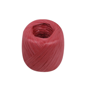 เชือกพลาสติกสำหรับมัดของ Ruisheng Plastics PP ขนาด 1-6 ซม. สำหรับงานมัดของประจำวัน จัดส่งข้ามพรมแดน - Product Image 2