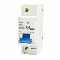 Disjoncteur miniature DZ47-125 2P MCB, interrupteur à air 80A 100A 125A, protection contre les surcharges et les courts-circuits