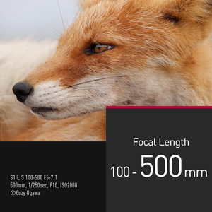 Objectif ultra-téléobjectif Panasonic S Series 100-500mm F5-F7.1 à monture L - Appareil photo hybride avec capteur CMOS S-R100500 - Product Image 4