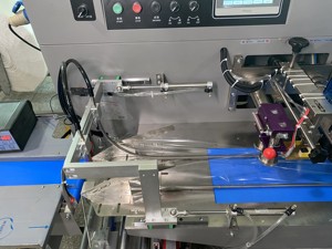 Machine d'emballage et de conditionnement sous vide horizontale automatique pour saucisses, œufs salés, lingettes humides, sandwichs et poulets entiers - Product Image 5