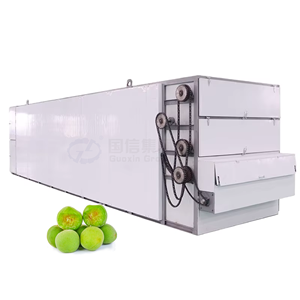 Equipo de secado de ciruelas verdes con cinta transportadora de malla continua OEM, secador de frutas, procesamiento de frutas, secador de ciruelas verdes - Product Image 1