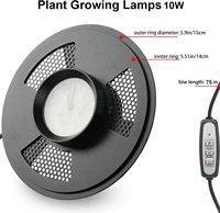 SHIZI Vivarium de bureau intelligent CRI 95 LED, Terrarium avec simulation du lever et du coucher du soleil, Système de forêt tropicale, Vente en gros, Fournisseur d'usine