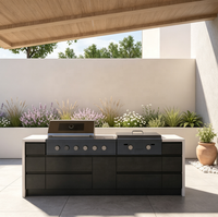 Cuisine moderne BBQ extérieure, armoire de cuisson modulaire robuste, unité de grillade extérieure résistante aux intempéries pour cour résidentielle
