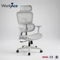 Chaise de bureau exécutive ergonomique moderne et confortable WorkAce XXFU-0563, coque en fibre de verre, hauteur réglable, pivotante