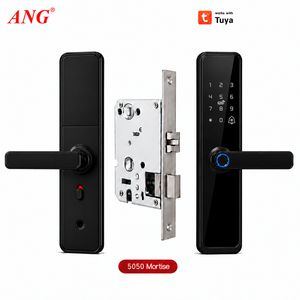 Kunci Pintu Biometrik Pintar ANG dengan Kata Sandi Keamanan, Bekerja dengan Tuya Digital, Pasokan Baterai AA, Kunci Pintu Digital Sidik Jari - Product Image 1