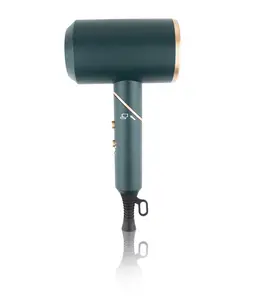 Hotel Travel Hair Dryer 1000W DC Motor Hair Dryer with Removable Filter Nozzle Diffuser Electric Plastic Hairstyle OEM Logo