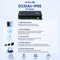 Module CALB D230AH-1P8S 25.6V 230Ah LiFePO4 5.88kWh avec BMS à détection FPC, prêt pour système de batterie de véhicule électrique