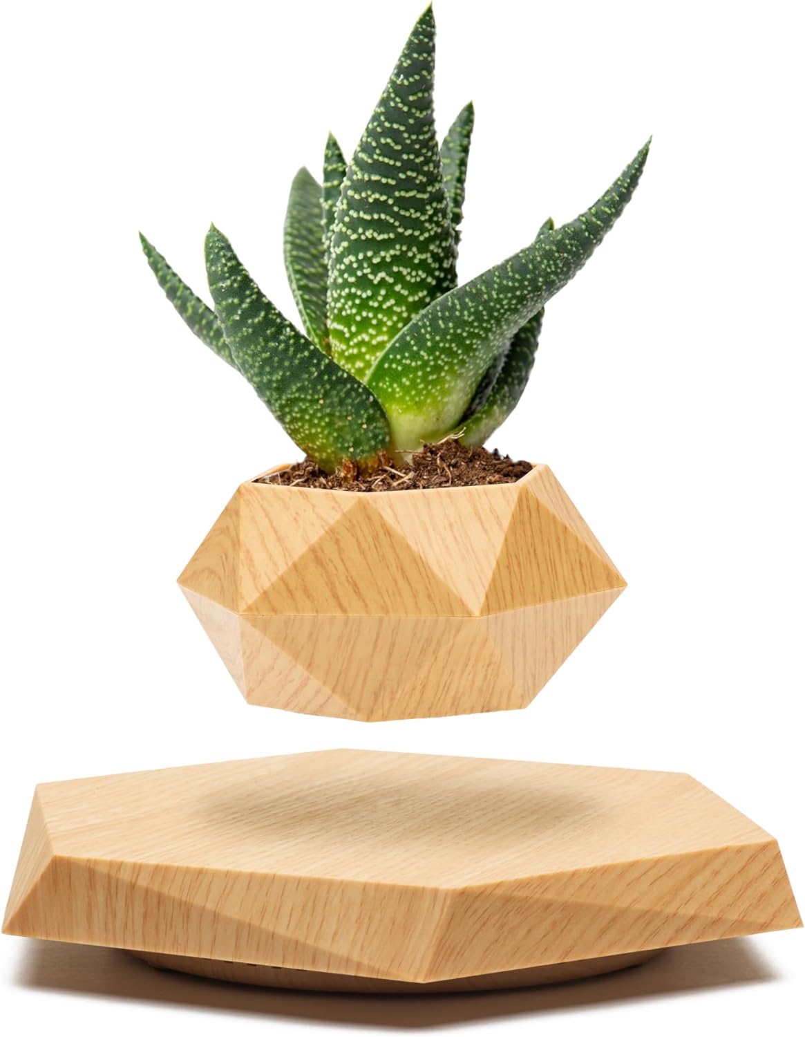 plastic plants in fish tank Aquatop Medium Leaf Light Green Plastic Plant 25 Inch – KensFish.com main image 1